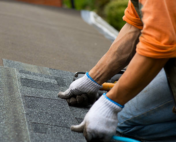 Quick and Trustworthy Emergency Roof Repair Services in Bay Pines, FL